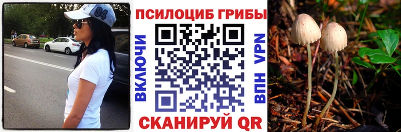 Купить Усть-Лабинск Псилоцибиновые грибы Psilocybine cubensis